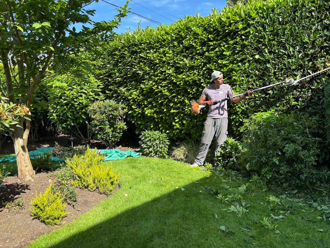 Garden of Blooming Gaia Landscapes photo 5