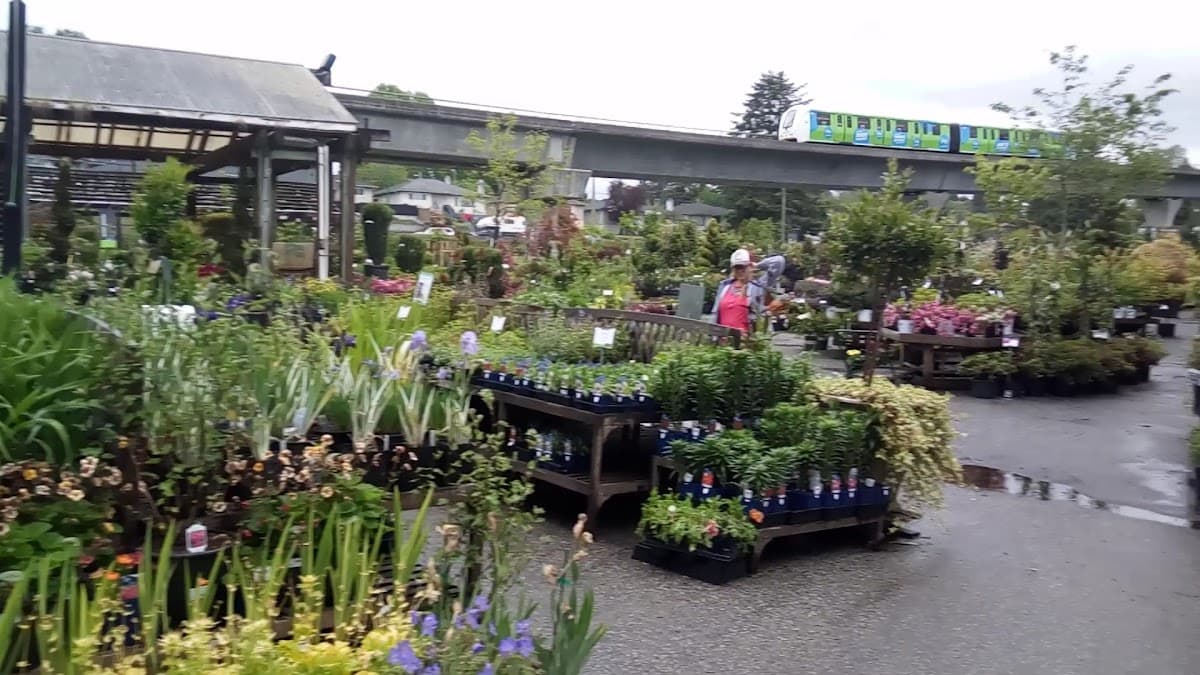 GARDENWORKS Burnaby-Lougheed photo 4