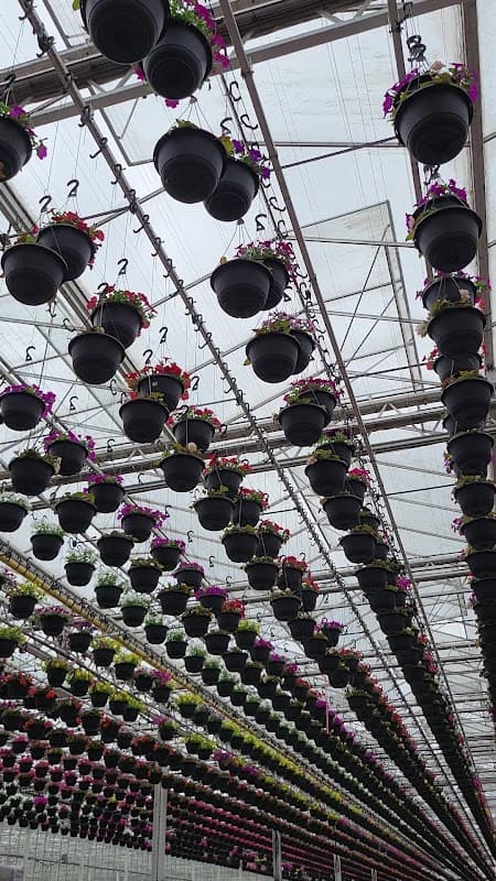 Glow Garden Centre photo 3