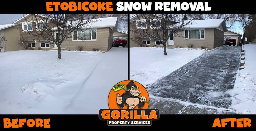 Gorilla Property Services photo 2