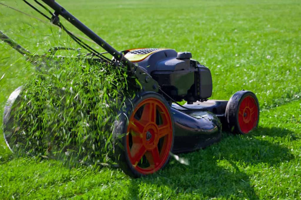 Grass Cutting Services Toronto photo 2