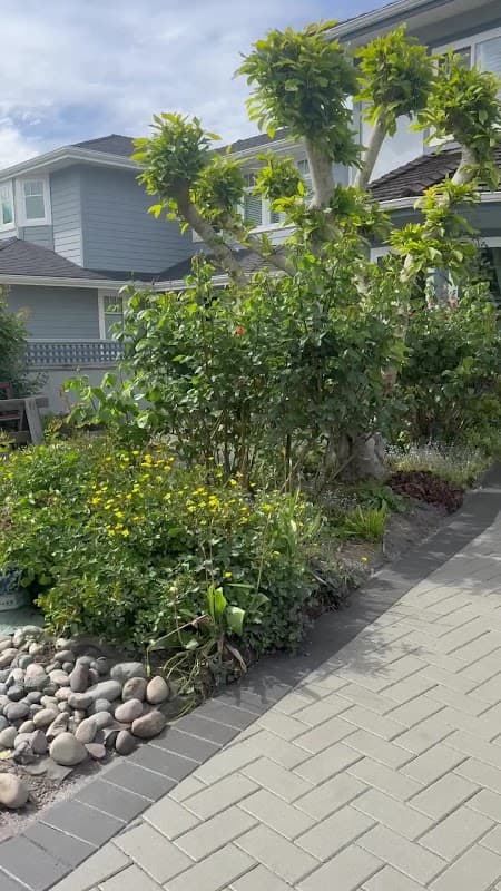 Green Bamboo Landscaping photo 5
