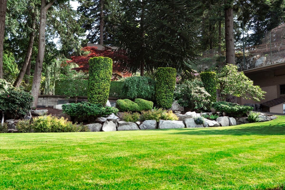 Green Image Lawn and Garden