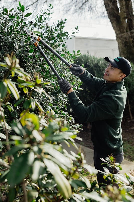 Green Routine Groundskeeping