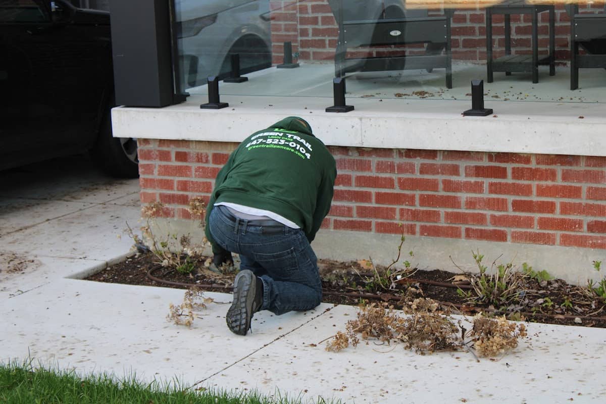 Green Trail Lawn Care photo 2