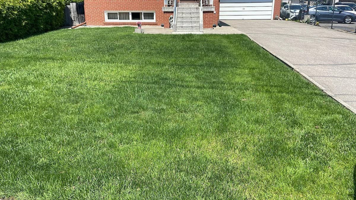 Green Turf Landscaping photo 3