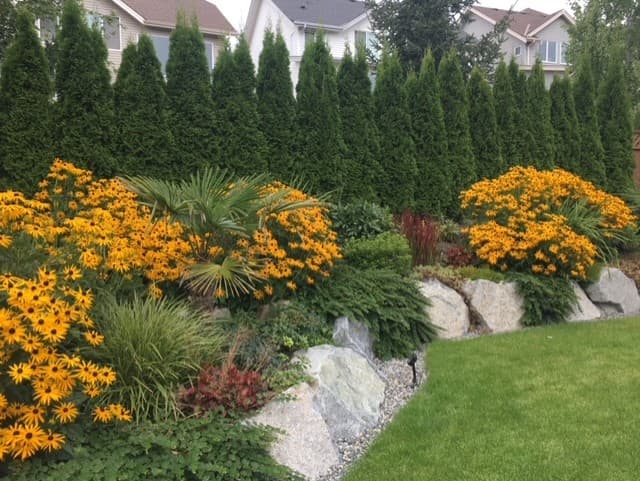 Green Zone Landscaping project photo