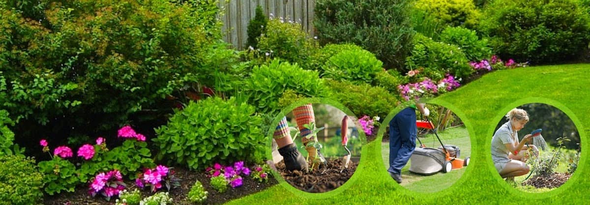 Greenbloom Landscaping photo 3