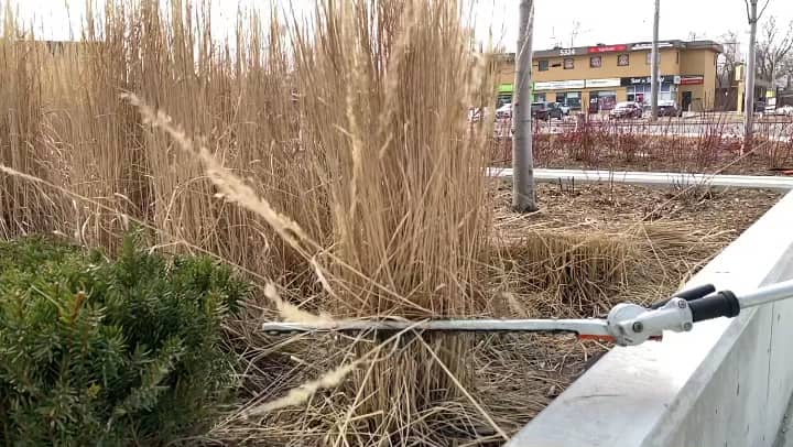 Groundhog Landscaping LTD photo 4