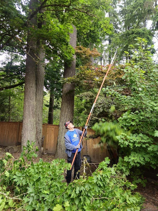 Hero First Landscaping