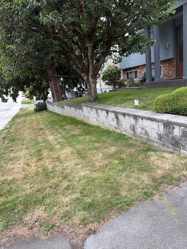 Hero First Landscaping photo 2