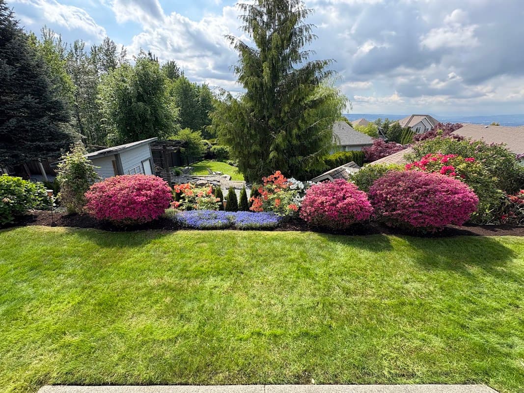 I Know Landscaping photo 3