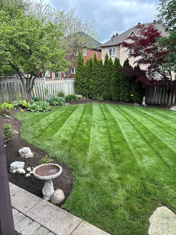 JMP Landscaping photo 4