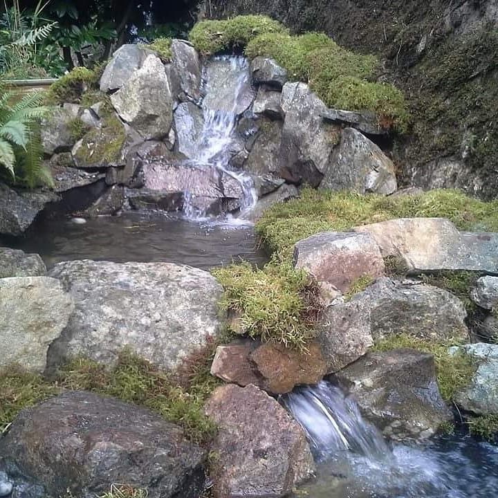 Kane Custom Landscaping photo 5