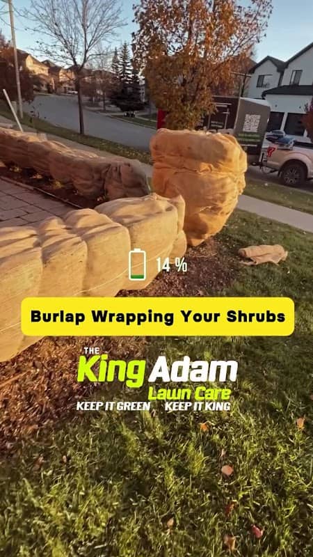 King Adam landscaping photo 2