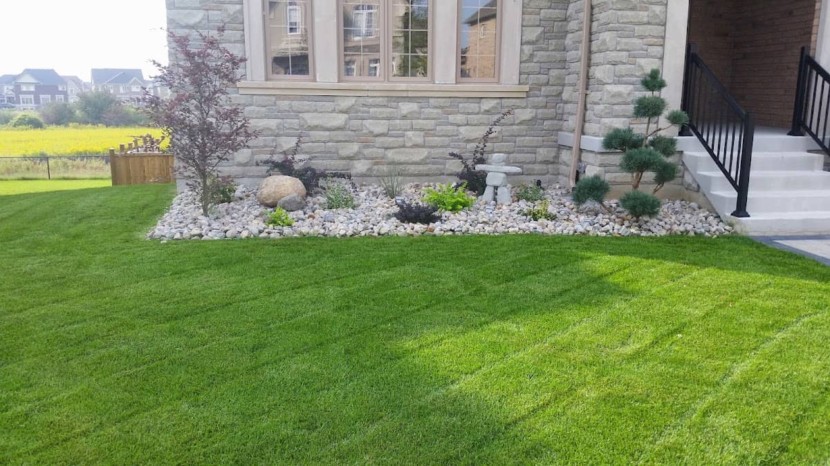 KN Property Maintenance