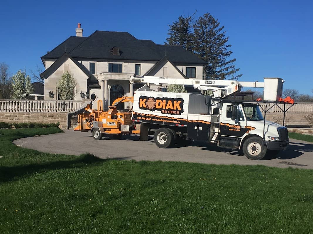 Kodiak Tree Services photo 3
