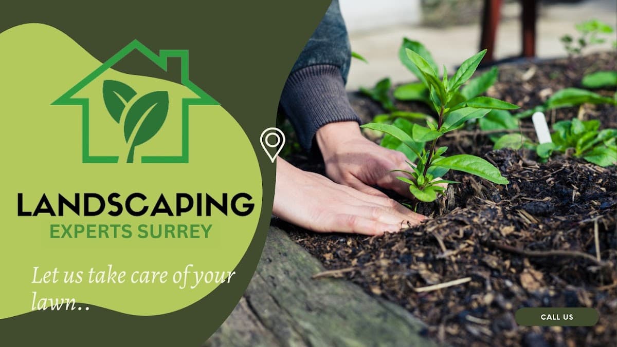 Landscaping Squad Experts Surrey project photo