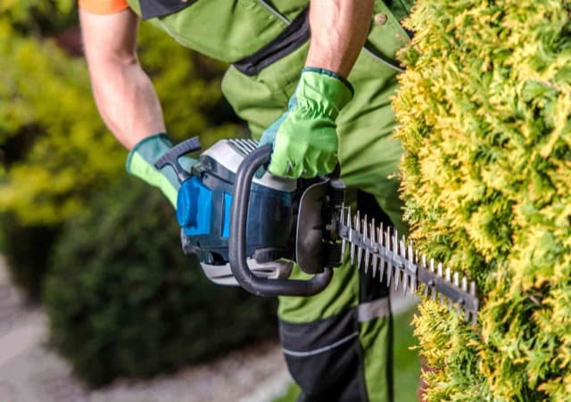Landscaping Surrey Blossm