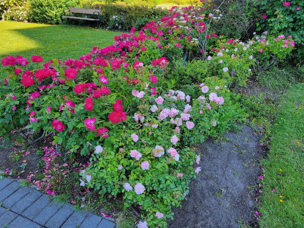 Landscaping Vancouver project photo