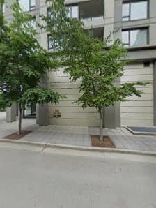 Landscaping Vancouver photo 3