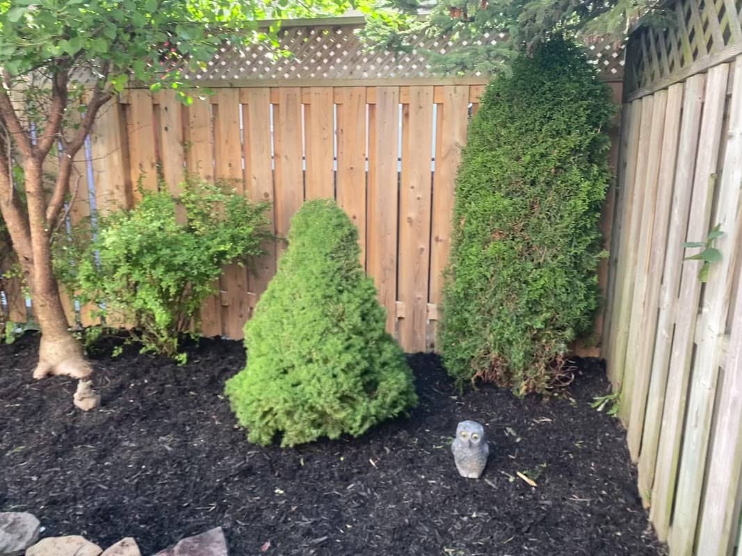 Lawn Bears Landscaping photo 2