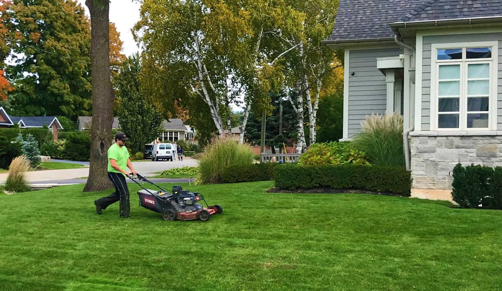 Lawn Bros Landscaping photo 4
