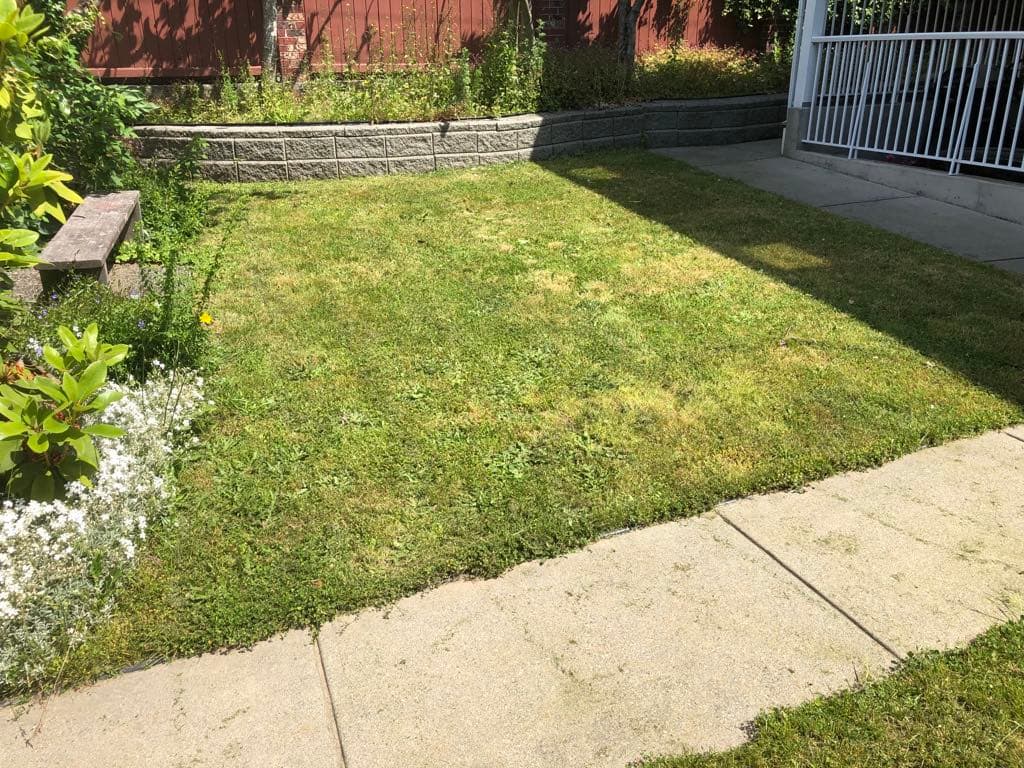 Lawn Care Pal
