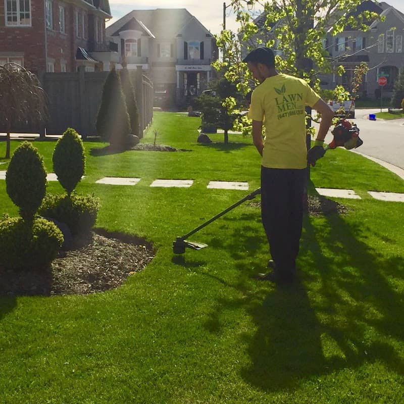 Lawn Men project photo