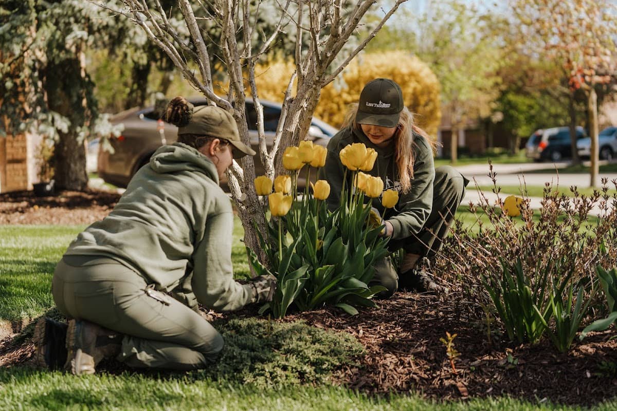 Lawn Troopers project photo