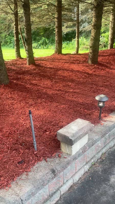 Lawn2care Landscaping and Snow Removal photo 3