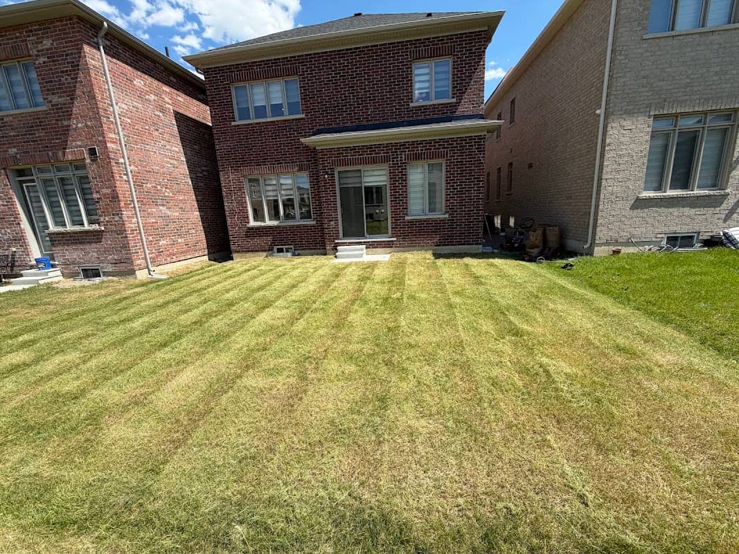 LawnCare Guys photo 2
