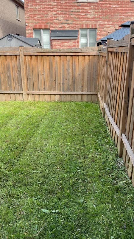 LawnCare Guys photo 3