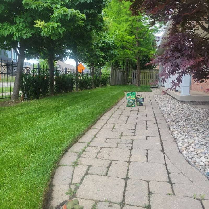 Lawncare Solutions photo 2