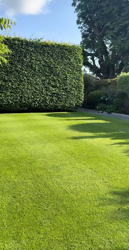 LawnGrove photo 2
