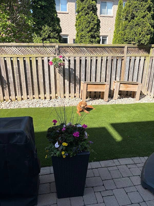 Lazy Lawn Inc photo 2