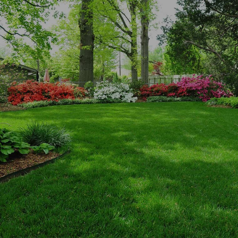 Leuschner's Lawn and Landscape photo 2