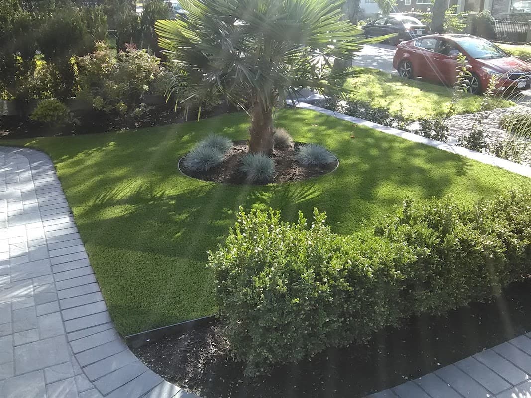 Lightning Landscapes Ltd project photo