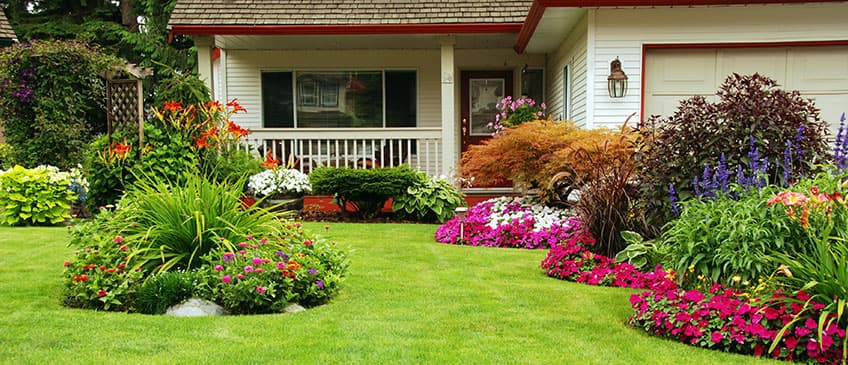 Lily Rose Landscaping