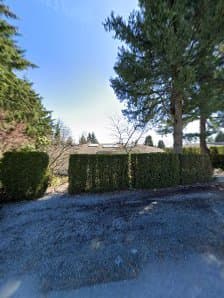 Lily Rose Landscaping photo 2