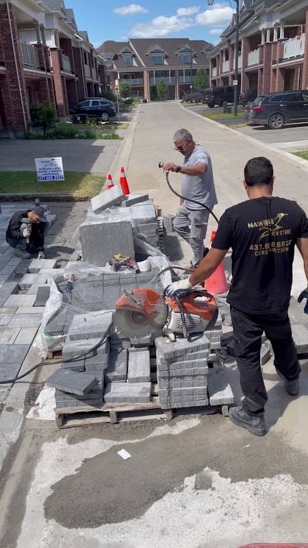 Lion of construction & landscaping & snow removal photo 3