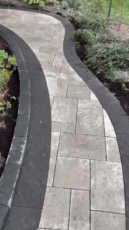 Lionscape Contracting Inc. photo 3