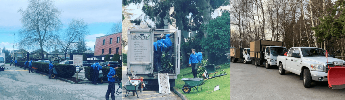 Lubberts Landscaping & Maintenance Ltd.