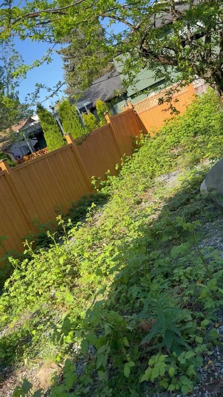 Lushgreen Landscapers Ltd. photo 3