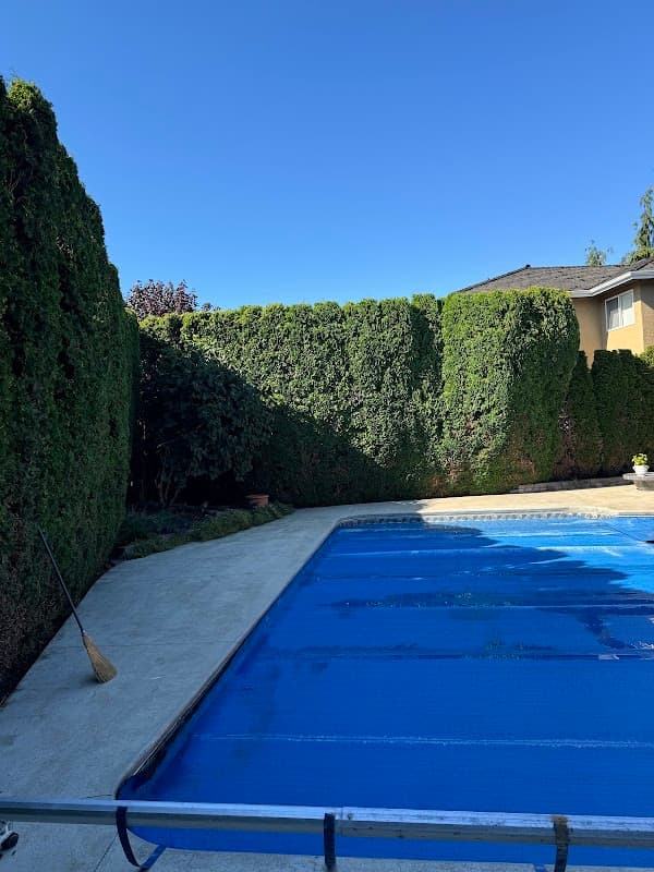 Lushgreen Landscapers Ltd. photo 4