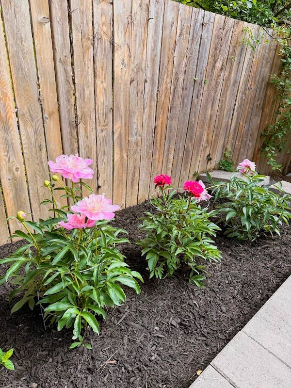 M Landscaping Ltd. photo 2