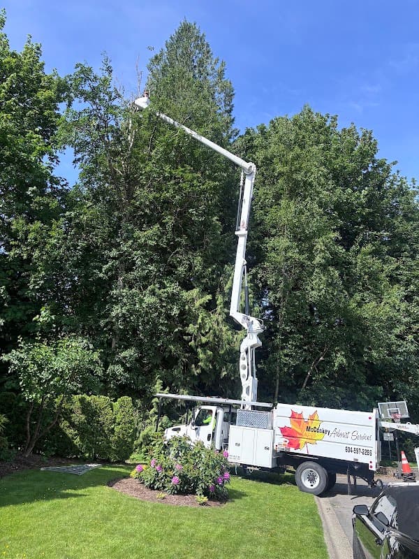 M McConkey Arborist Services Ltd photo 4