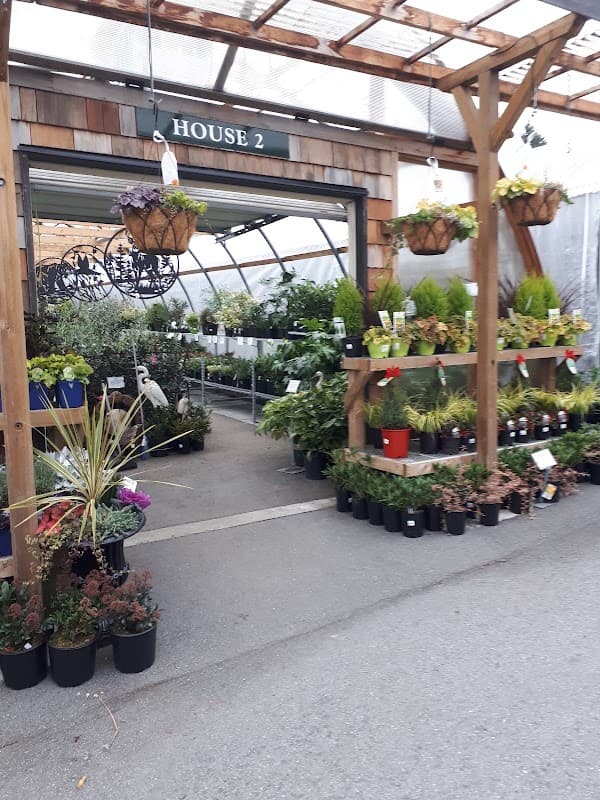 Maple Leaf Garden Centre project photo
