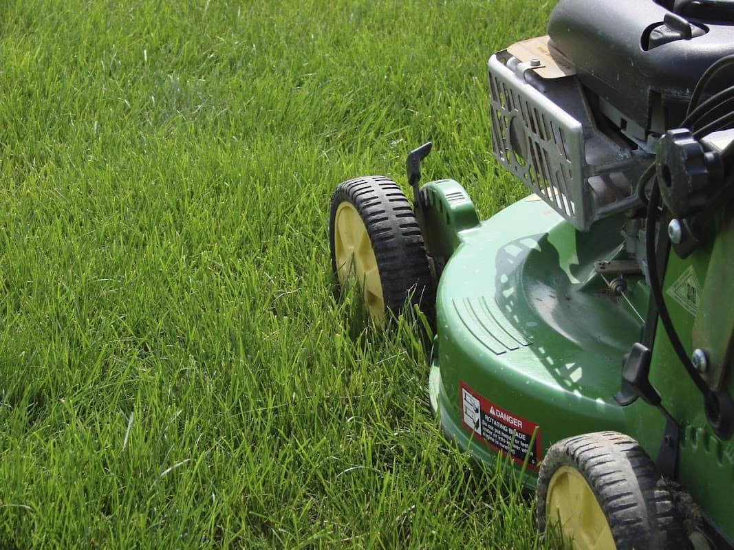 Markham Grass And Garden photo 2