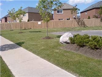 Markham Property Management project photo